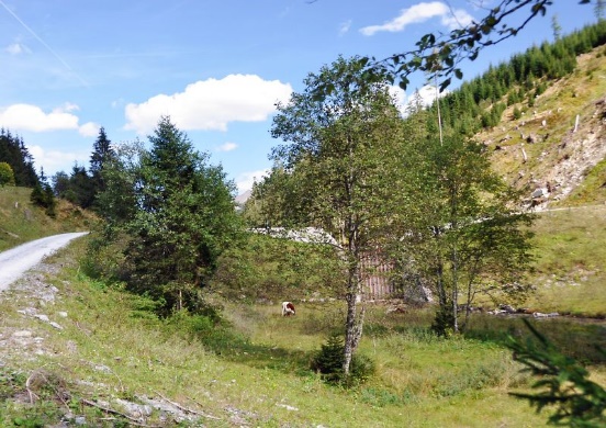 Cesta k huti podél říčky Angerbach