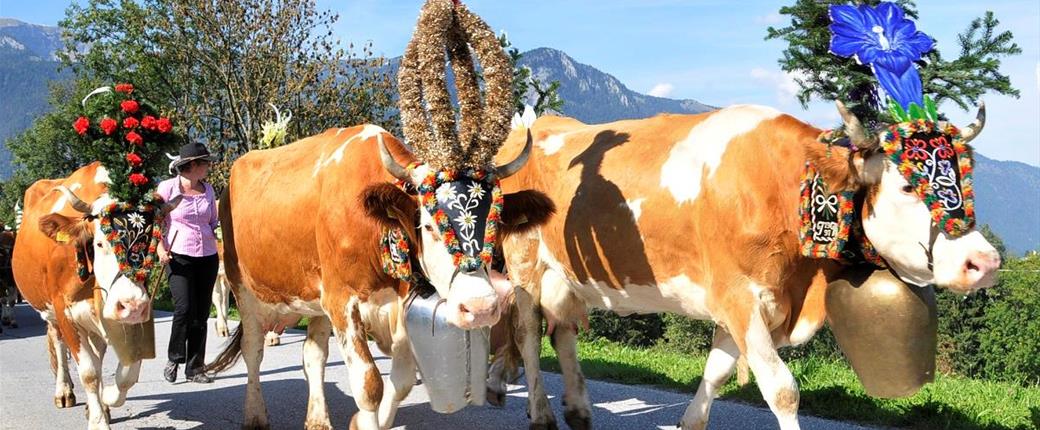 Údolí Pitztal a Kaunertal – alpské pokladnice pro seniory****